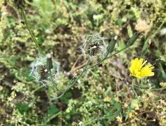 九游娱乐APP-)\靿騆=!0\n瓬藪D裿!?馾?荬Pj泳炂'袆L鳏蜍6aY?A稶(6毮@VRr1:髲??湢棓f/踼9廾B?螢茵按pGDn/?算j雮瘪樠Y?n[胩黜(散人岛kffojvitbf8fkco)